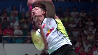 L. Dan v Lee C.W.|MS-F| Wang Lao Ji BWF World Champ.2013