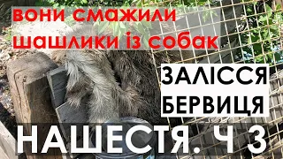 Вони смажили шашлики із собак. На руїнах. Руzzкий мир. Нашестя. Ч.3. Залісся та Бервиця