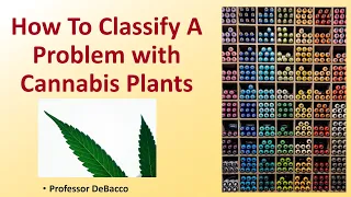 How To Classify A Problem with Cannabis Plants