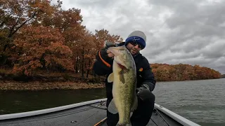 Fall fishing LOZ with the HYPER SHAD!