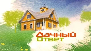 Дачный ответ 27.09.2015 - Сад с деревом жизни