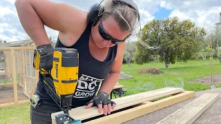 Building a Chicken Coop - Part 2: Cladding, Wire Mesh and Nest Boxes - #10