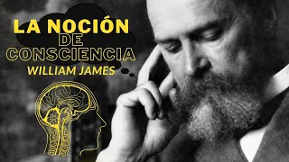 La noción de conciencia, William James |  Audiolibro completo