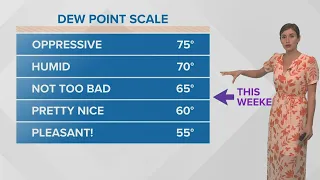 Warming weather this week, rainy pattern possible next week