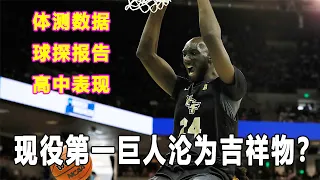 他身高231公分，是现役第一巨人！如今却沦为吉祥物！Tacko Fall球探报告和体测数据曝光！