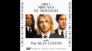 The buzz lovers | SMELLS LIKE TEEN SPIRIT (original de/from NIRVANA) 06/10/23 (en directo/live)