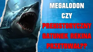 Podcast Kryptozoologiczny - Megalodon - Czy Ogromny Gatunek Rekina Przetrwał Do Naszych Czasów ?