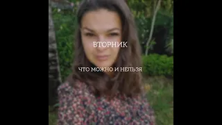 Вторник, что можно и нельзя