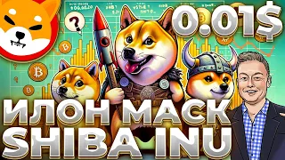 SHIBA INU ИЛОН МАСК ПАМПИТ! НОВЫЙ КАТАЛИЗАТОР SHIB! SHIB 0.01$!