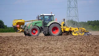 Uprawa i siew rzepaku na wielką skalę 2023 / Gr. Radłów / / New Holland / Fendt / " Małopolskie "