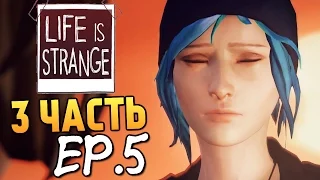 Life is Strange - Эпизод 5: Раскол #3