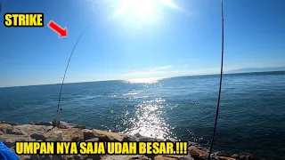 MANCING PAKE PLAMPUNG UMPAN IKAN HIDUP DAPAT IKAN BESAR