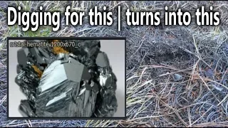 Bigfoot habitat captured on camera in Colorado