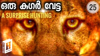Cougar| Puma | Mountain Lion hunting |  Julius Manuel | HisStories
