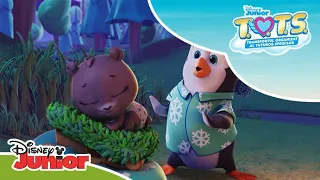 🌲 Pădurea Foarte Foarte Îndepărtată | T.O.T.S. | Disney Junior România