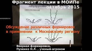 Веерная формировка для Подмосковья и северных регионов - фрагмент лекции в МОИПЕ, Москва, 2015 год