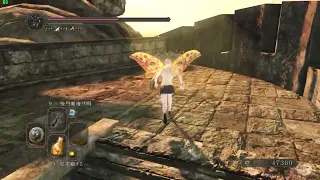 Dark souls 2 use parry walk connect All Giant Memory