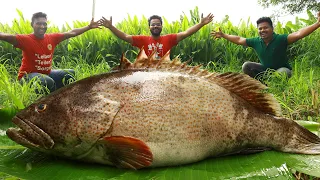 Unseen Biggest Fish BBQ Recipe | Big Tandoori Fish Recipe | Giant Fish Barbecue | Goliath Grouper