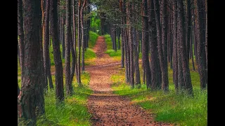 UNESCO The Curonian Spit. Countryside.lt