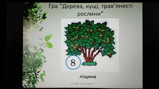 Я досліджую світ 1 клас Я досліджую дерева, кущі, трав'янисті рослини