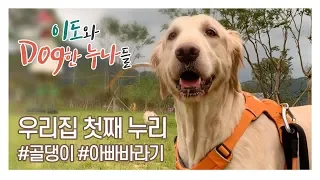 Ep.2 골든리트리버 누리 | 대형견 브이로그 | 뽀시래기 시절부터 에너자이저, 문따기까지 마스터한 우리집 첫째💕