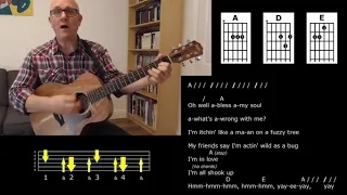 How To Play 'All Shook Up' - 1950s Rock 'n' Roll Guitar Tutorial - Jez Quayle