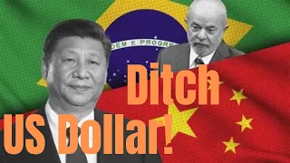 How Brazil & China Could Shake Up the Global Economy!! Here's why!!!