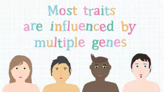 What is meant by genetic difference?