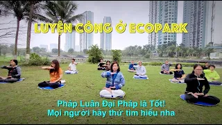 Pháp Luân Công ở Ecopark  @CloudflyVeNha