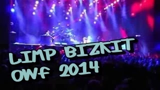 Limp Bizkit 'Take a look around' - Crazy Crowd at Orange Warsaw Fest 2014.