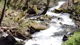 Молочный водопад в Абхазии.