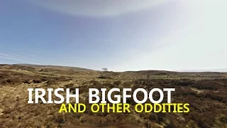 'Irish Bigfoot And Other Oddities' | Paranormal Stories