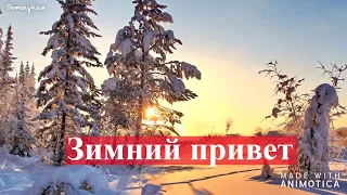 Зимний Привет. Красивая музыкальная видео открытка.