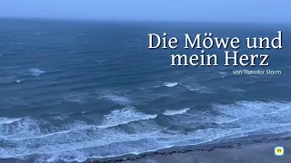 Die Möwe und mein Herz - Gedicht von Theodor Storm