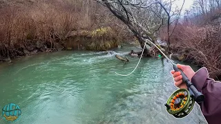 My First 20 Inch Trout of the YEAR! (Streamer Fly Fishing for Brown Trout)