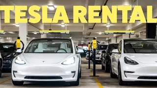 Renting a Tesla Model 3 (as a Model 3 owner)