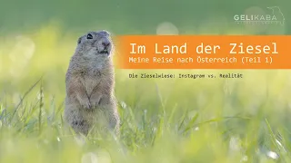 Im Land der Ziesel - Urlaub in Österreich (Teil 1). Die Zieselwiese: Instagram vs. Realität - Vlog