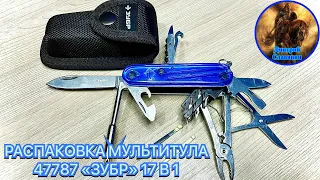 РАСПАКОВКА МУЛЬТИТУЛА 47787 «ЗУБР» 17 В 1