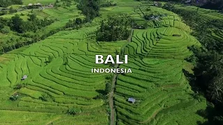 *Travel around the world/Бали/Bali/Summer holidays/Отдых*
