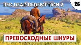 RED DEAD REDEMPTION 2 (ПОДРОБНОЕ ПРОХОЖДЕНИЕ) #25 - КАК ПОЛУЧАТЬ ПРЕВОСХОДНЫЕ ШКУРЫ