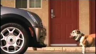 Mini Cooper Ad -- "Big Dog"