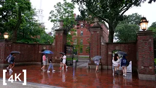[4K] Walking at Harvard University - Rainy Day ASMR - Cambridge, MA - Binaural Audio