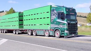 NZ TRUCKS AND TRAILERS| EASTER SPECIAL | 2023 #truckspotting #easterspecial #2023 #nztrucks #asmr