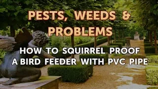 How to Squirrel Proof a Bird Feeder With PVC Pipe