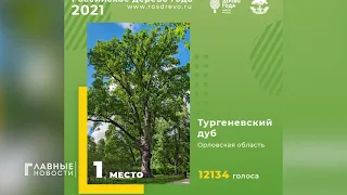 Тургеневский дуб стал «Российским деревом года»