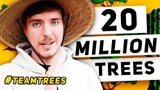 How Mr Beast Broke The YouTube Algorithm By Planting 20,000,000 Trees | Mr Beast 20 Million Trees