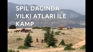 Spil Dağı 'nda Yılkı Atları ile Rüzgarlı Havada Kamp