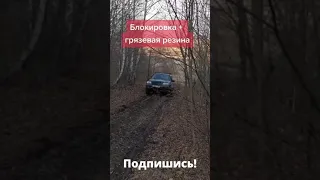 Шевроле Нива на блокировке