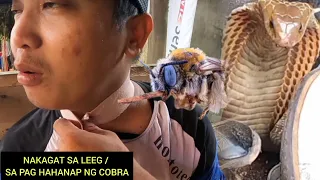 NAKAGAT SIYA SA LEEG  .SA PAG HAHANAP NG COBRA #cobraprince