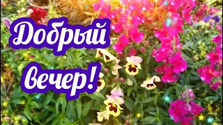 Добрый вечер! Чтоб были бы все друзьями!   Пожелания доброго вечера! Открытки добрый вечер